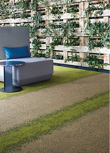 wc_eu_ur101flaxgrassur103grass-gal.jpg wc_eu_ur101flaxgrassur103grass-gal.jpg