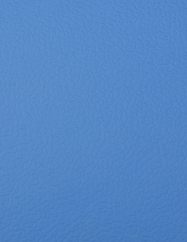 Linoleum Apoluza SportFloor PVC 4.5