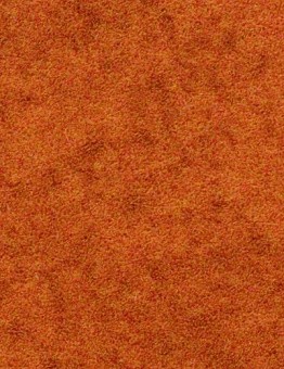 Ковролин Flotex Colour