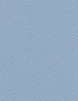 Safestep Aqua