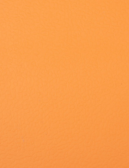 Linoleum Apoluza SportFloor PVC 8.5