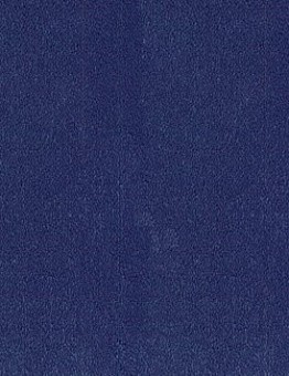 Asteranne